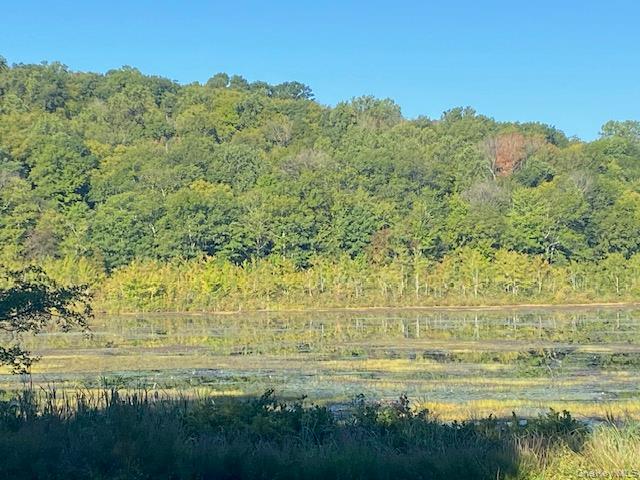 Lily Lake Road Highland, NY 12528 - Photo 11 of 30 a view of an ocean from a yard