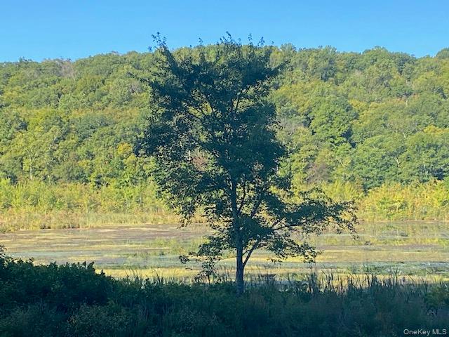 Lily Lake Road Highland, NY 12528 - Photo 12 of 30 a view of a lake with a yard