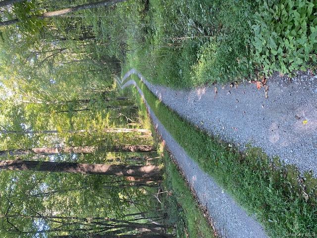 Lily Lake Road Highland, NY 12528 - Photo 18 of 30 a view of a road with plants and trees