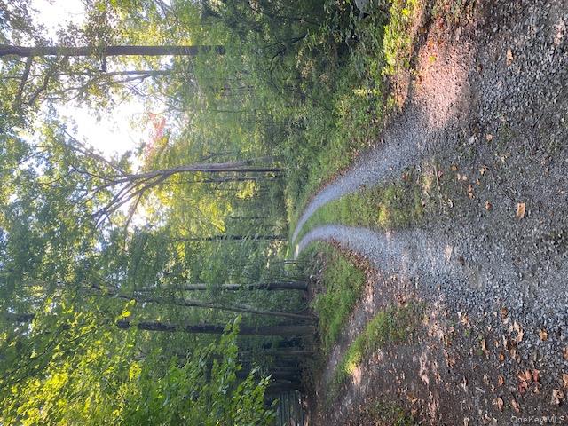 Lily Lake Road Highland, NY 12528 - Photo 19 of 30 a view of a dirt road with trees in the background