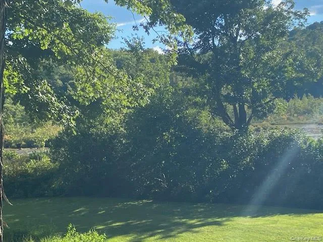 a view of a lake from a yard