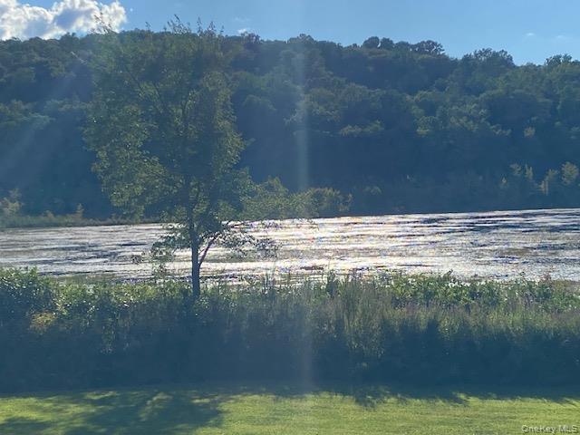 Lily Lake Road Highland, NY 12528 - Photo 23 of 30 a view of a lake from a yard