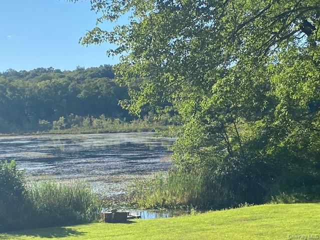 Lily Lake Road Highland, NY 12528 - Photo 25 of 30 a view of a backyard of the house
