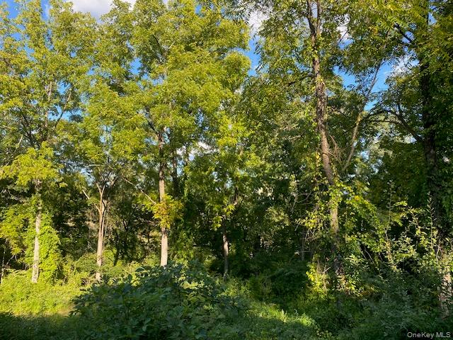 Lily Lake Road Highland, NY 12528 - Photo 26 of 30 a view of a tree with a tree