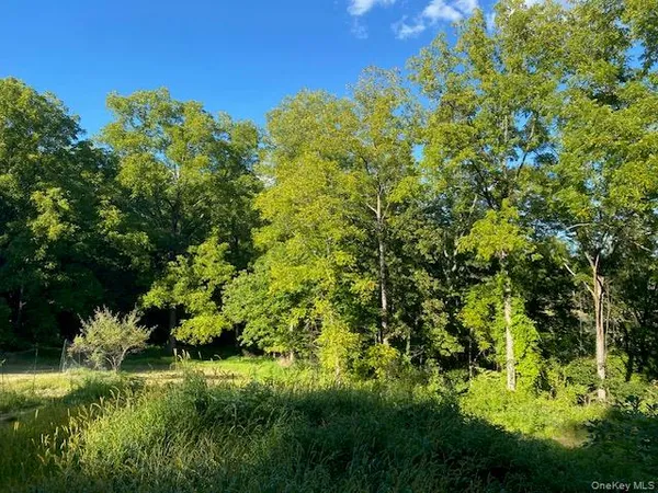 a backyard of a house with lots of trees