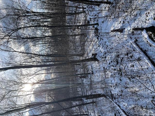 Lily Lake Road Highland, NY 12528 - Photo 29 of 30 a view of outdoor space with lots of trees