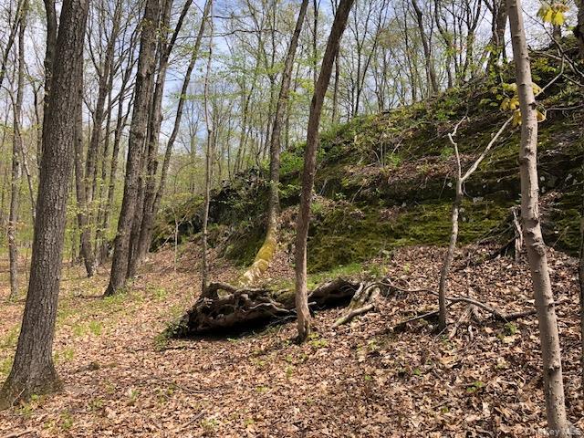 Lily Lake Road Highland, NY 12528 - Photo 3 of 30 a view of a backyard of the house