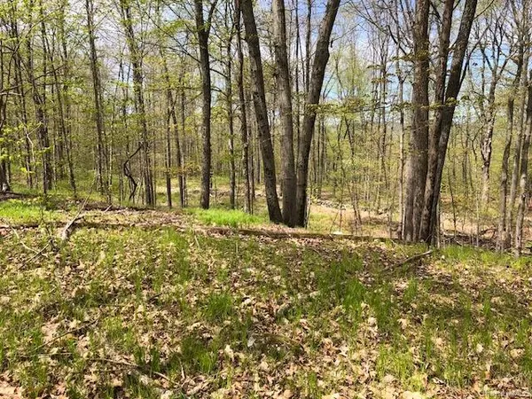 a view of outdoor space with trees