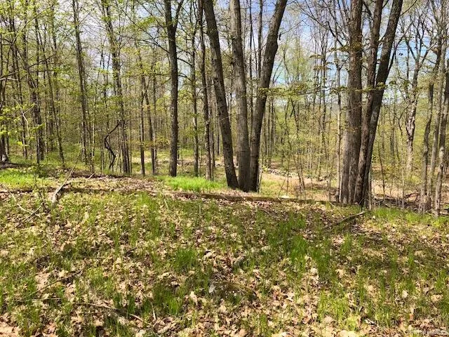 a view of outdoor space with trees