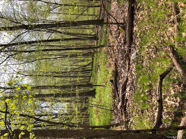 Lily Lake Road Highland, NY 12528 - Photo 6 of 30 a view of a yard with a tree