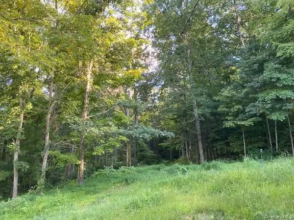 a view of outdoor space and green space