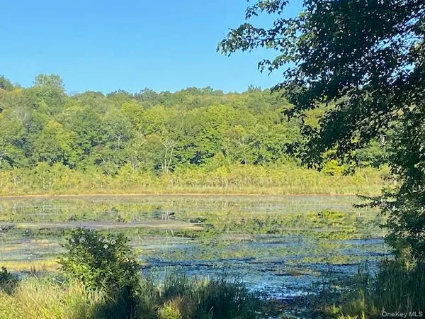 a view of an ocean from a yard
