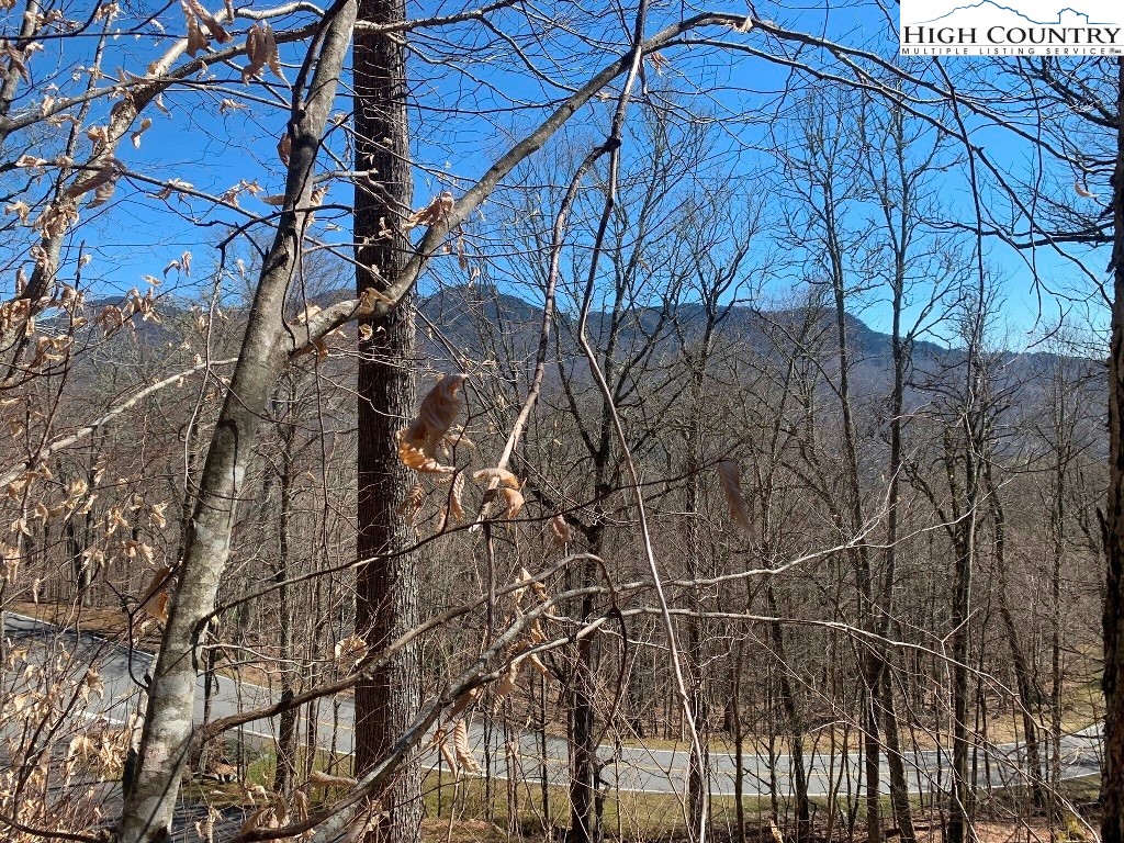 1040 Club Cliffs Drive Linville, NC 28646 - Photo 3 of 16