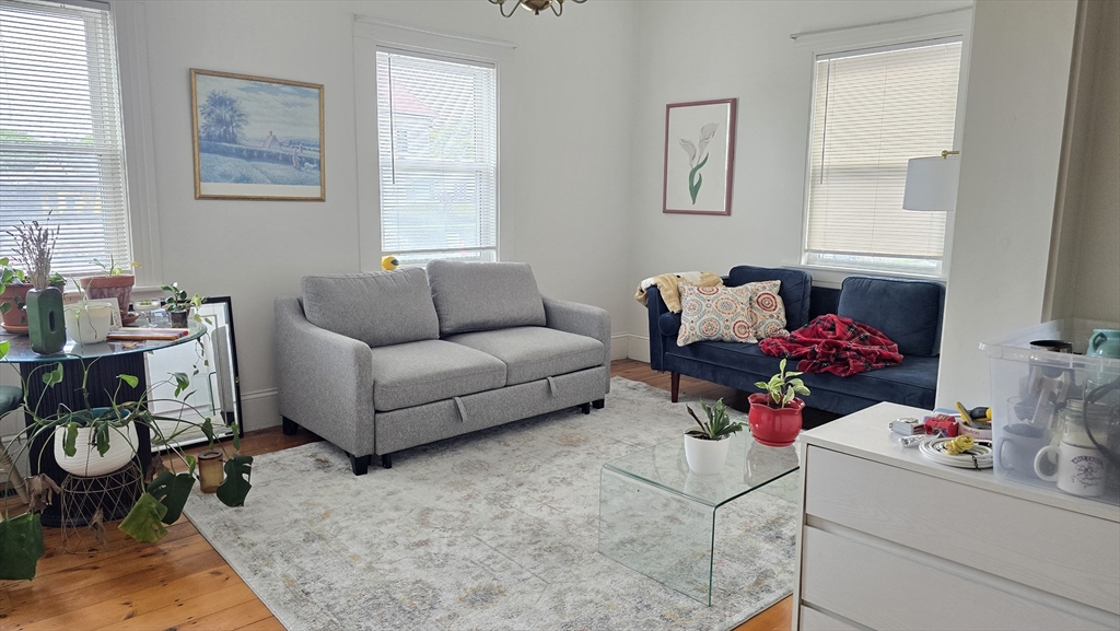 331 Plantation Street, Unit 1 Worcester, MA 01604 - Photo 3 of 15