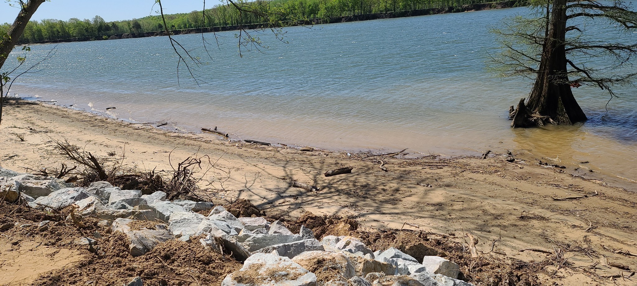 199 Hardin Bottom River Road Clifton, TN 38425 - Photo 13 of 35 a view of a dry yard