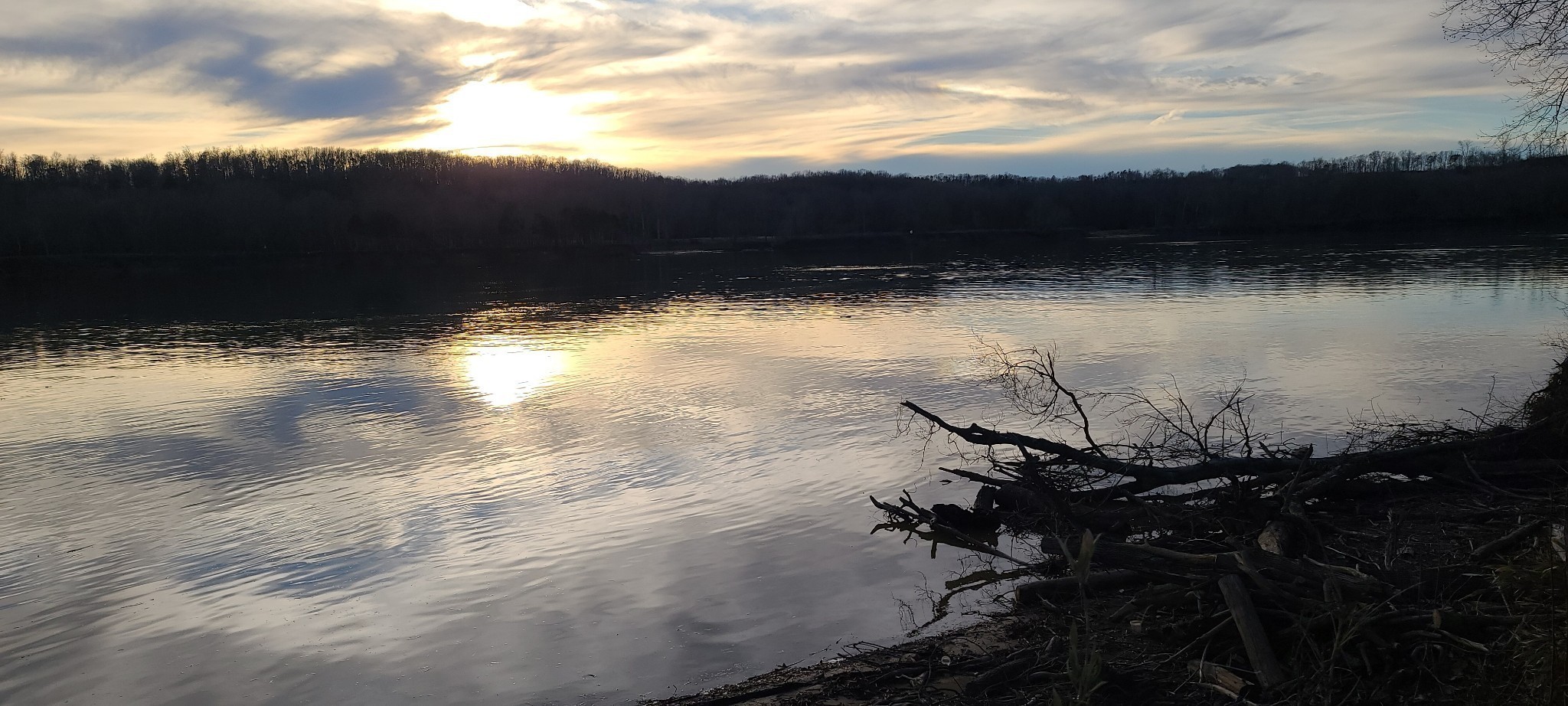 199 Hardin Bottom River Road Clifton, TN 38425 - Photo 19 of 44 a view of a lake