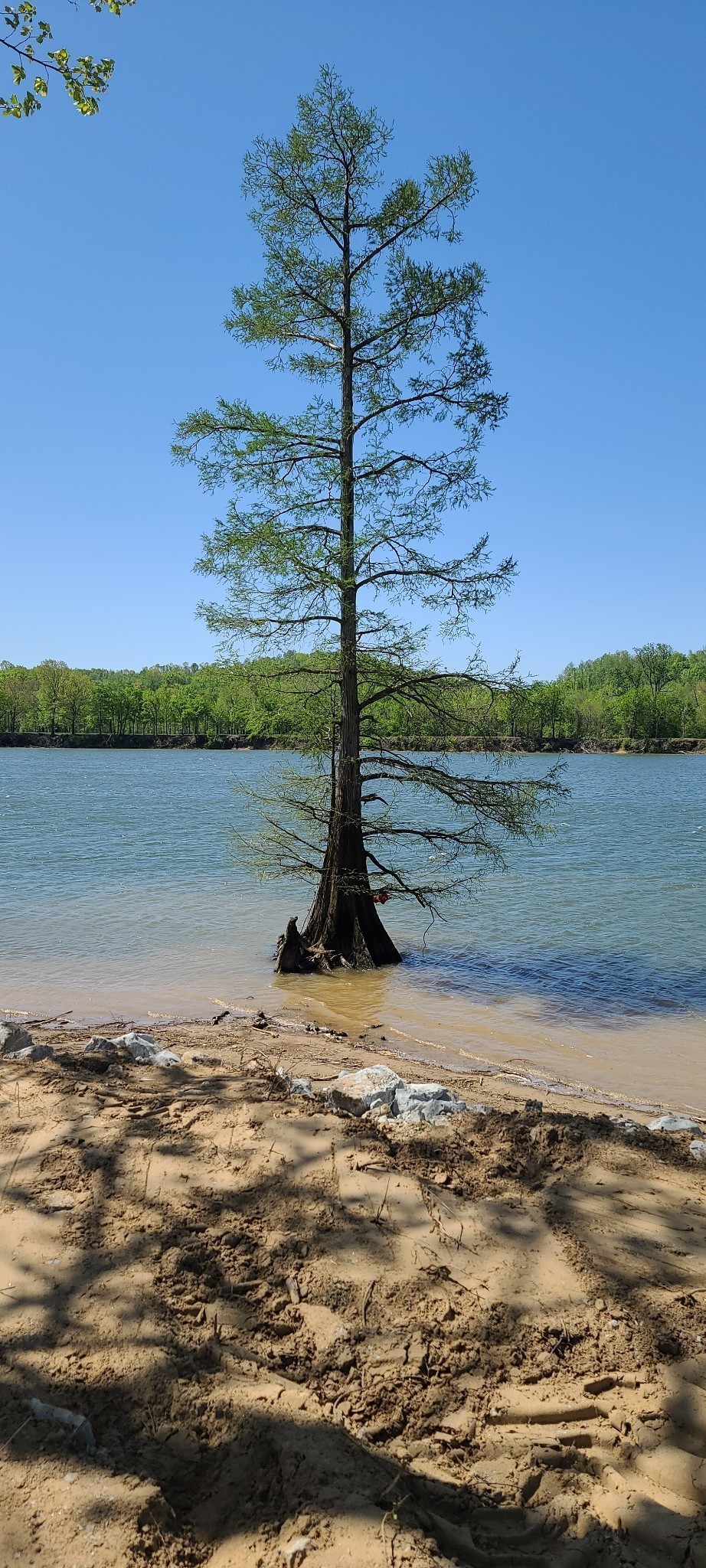 199 Hardin Bottom River Road Clifton, TN 38425 - Photo 26 of 44 a view of a ocean view