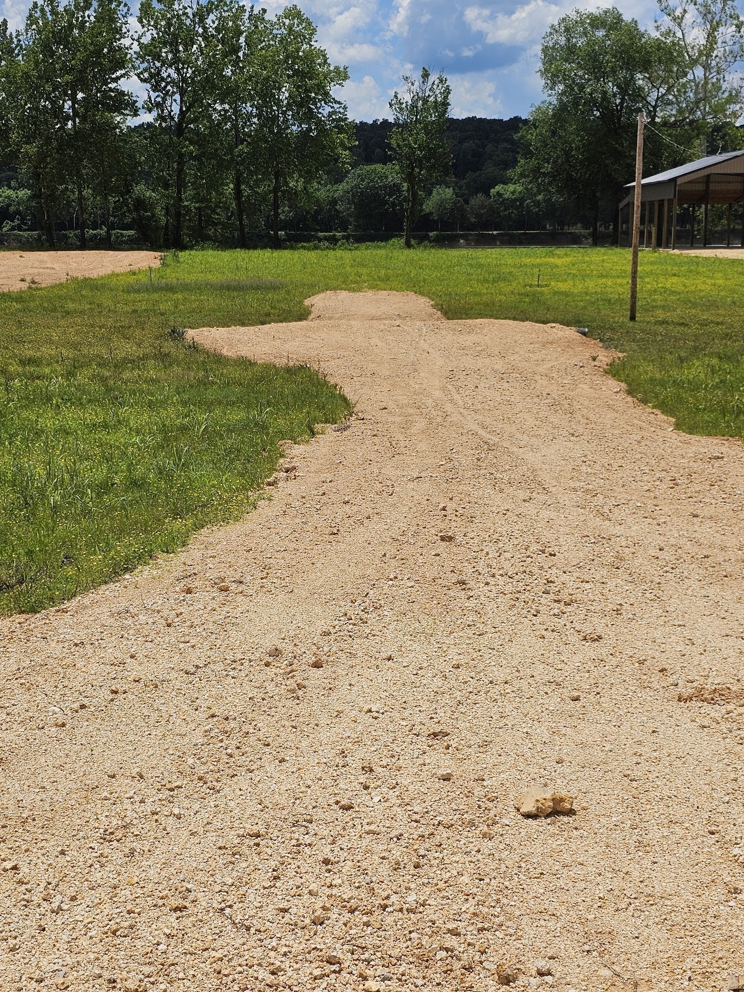 199 Hardin Bottom River Road Clifton, TN 38425 - Photo 3 of 35 a view of a field with a trees in the background