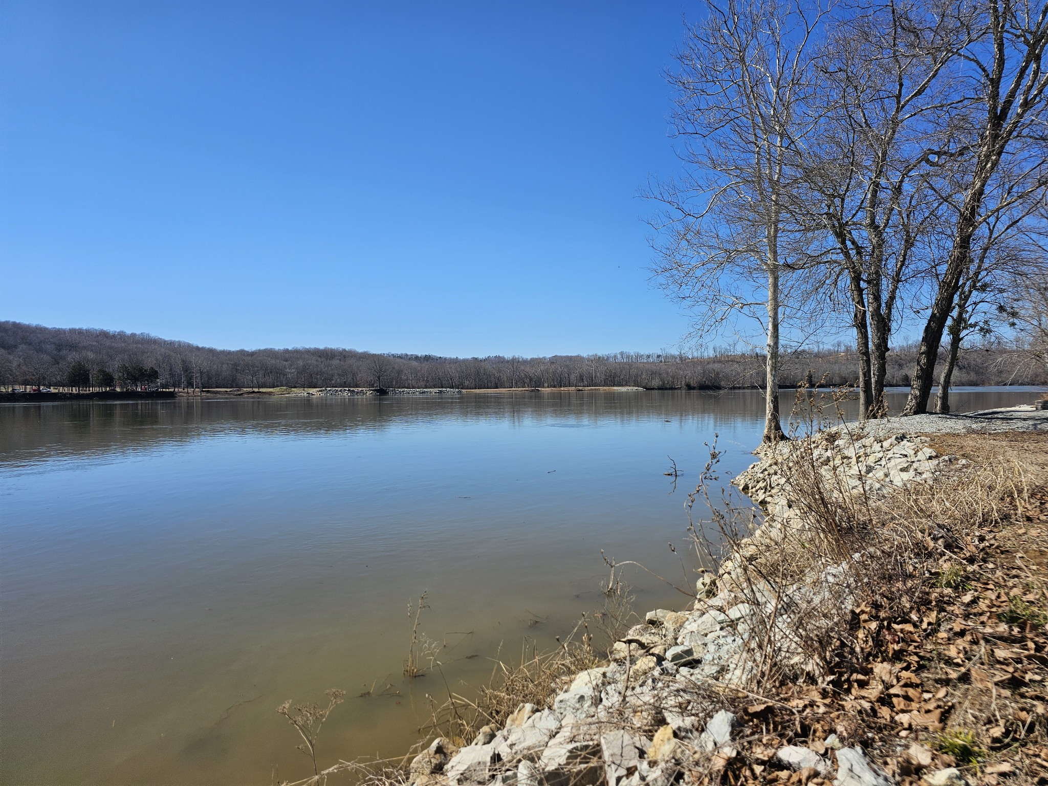 199 Hardin Bottom River Road Clifton, TN 38425 - Photo 31 of 44 a view of lake with tree