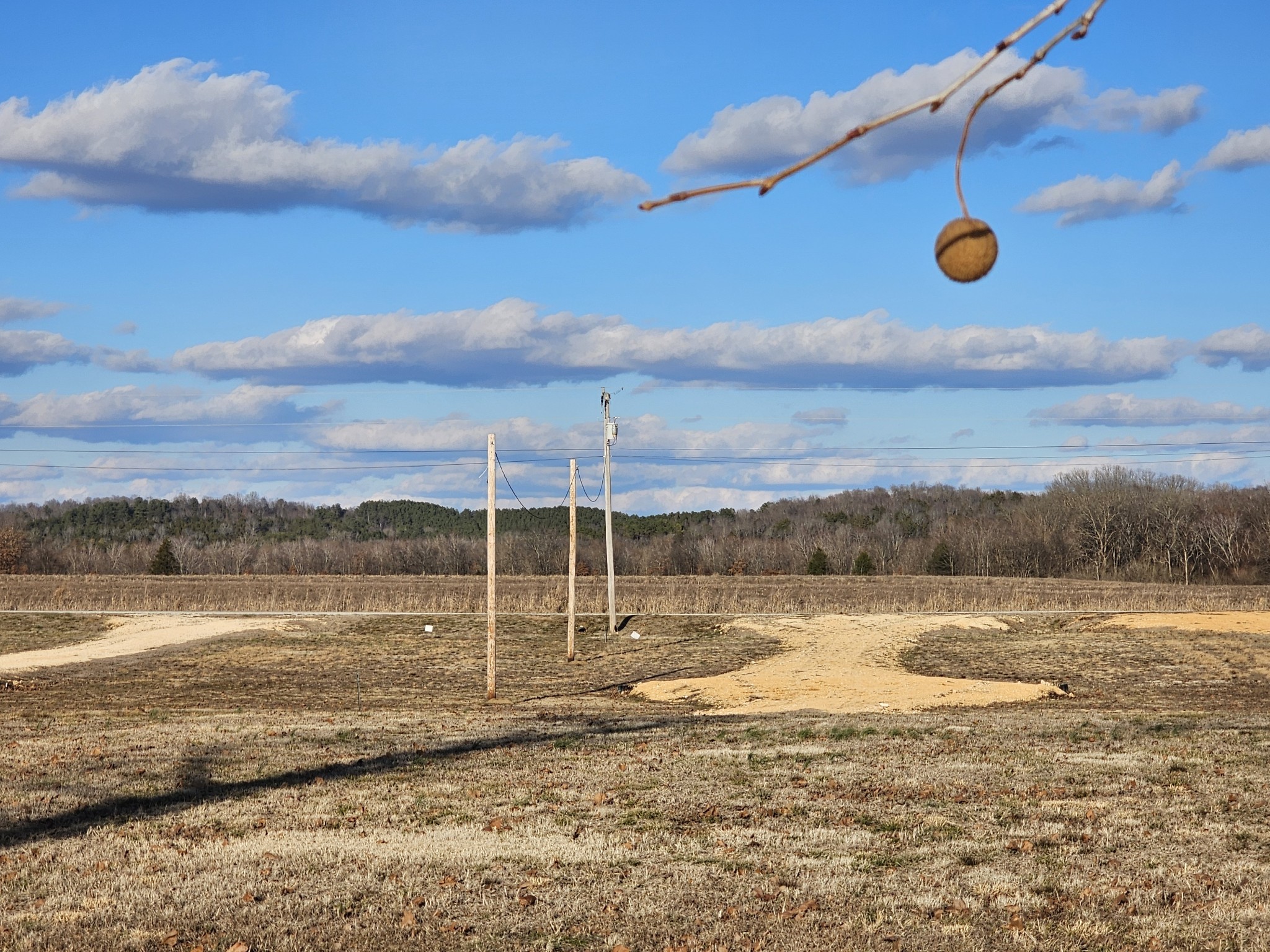 199 Hardin Bottom River Road Clifton, TN 38425 - Photo 5 of 44 a view of a lake view