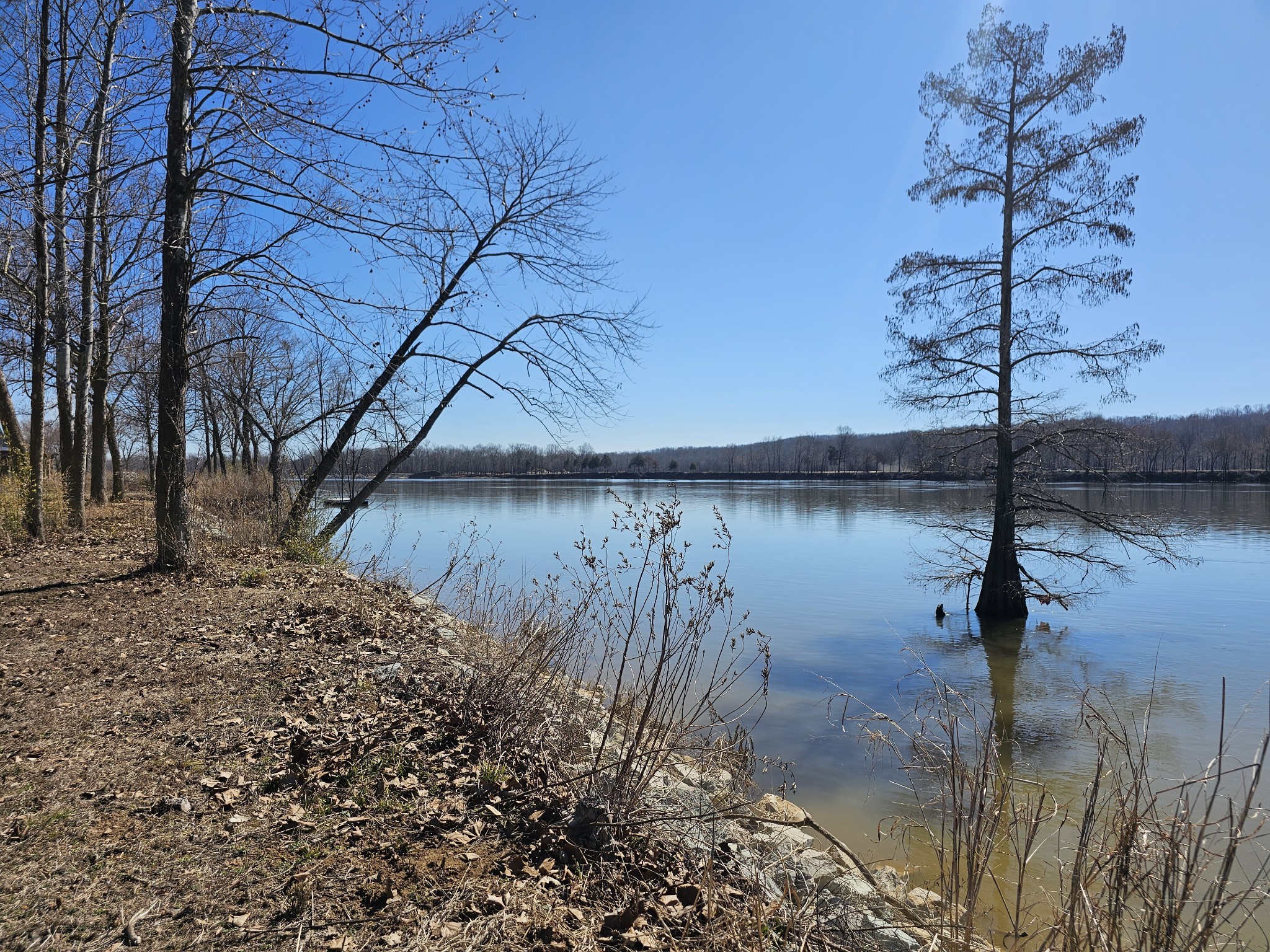 199 Hardin Bottom River Road Clifton, TN 38425 - Photo 7 of 35 a backyard of a house with lots of green space and fog