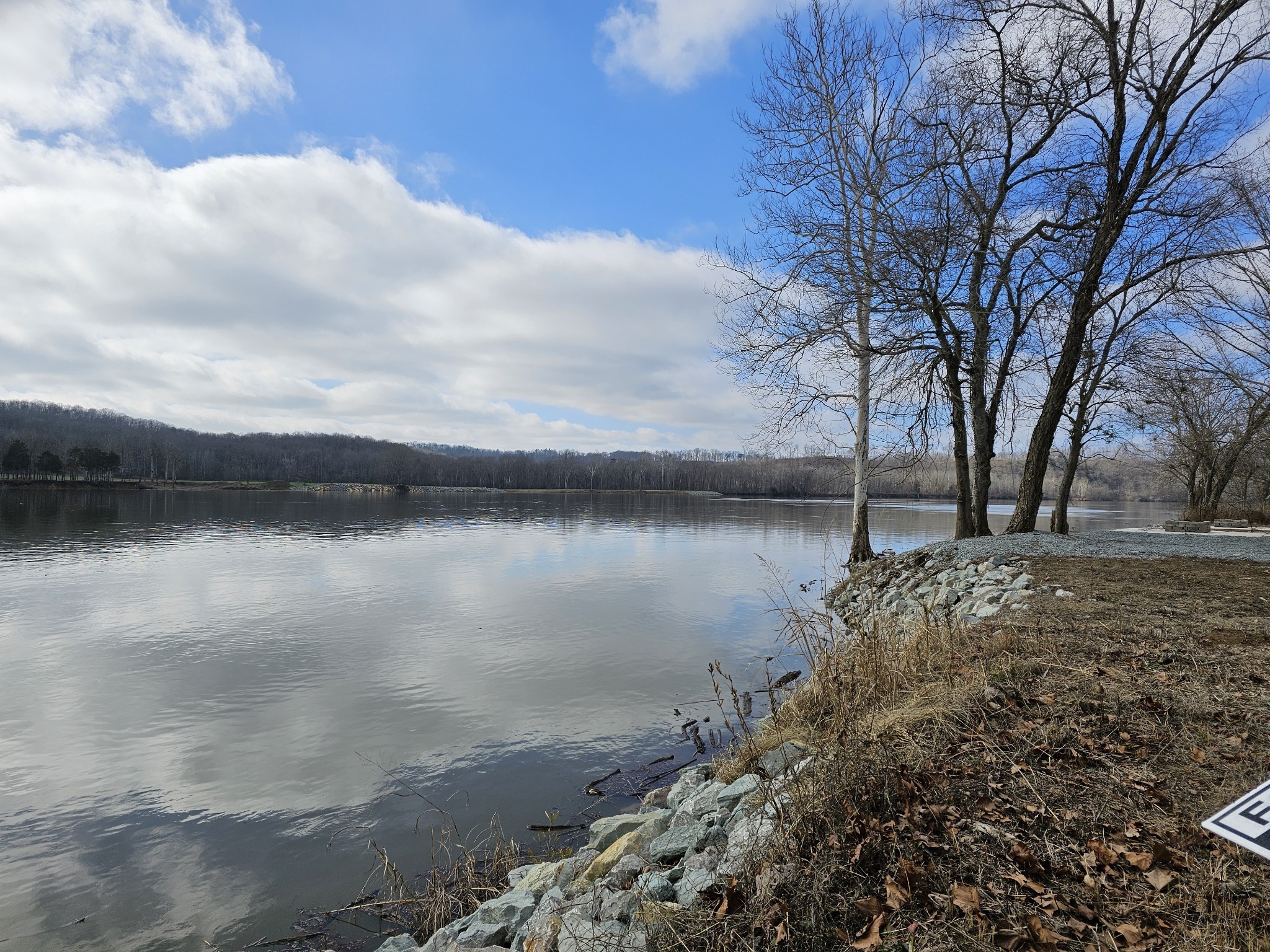 199 Hardin Bottom River Road Clifton, TN 38425 - Photo 9 of 35 a backyard of a house with lots of green space