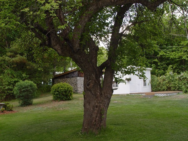 1417 Rindge Road Fitchburg, MA 01420 - Photo 19 of 22 Gallery Image 19