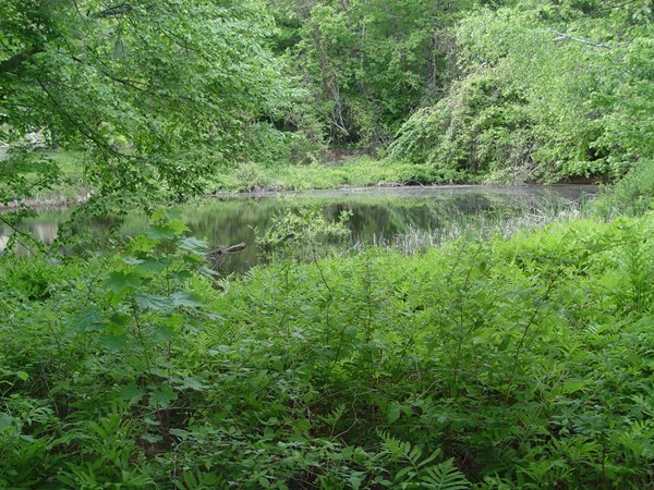 1417 Rindge Road Fitchburg, MA 01420 - Photo 4 of 22 Gallery Image 4
