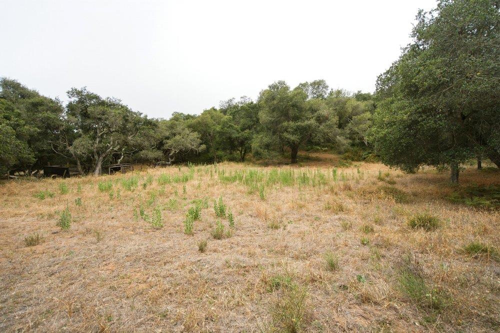 0 Valle Pacifico Road Salinas, CA 93907 - Photo 28 of 45