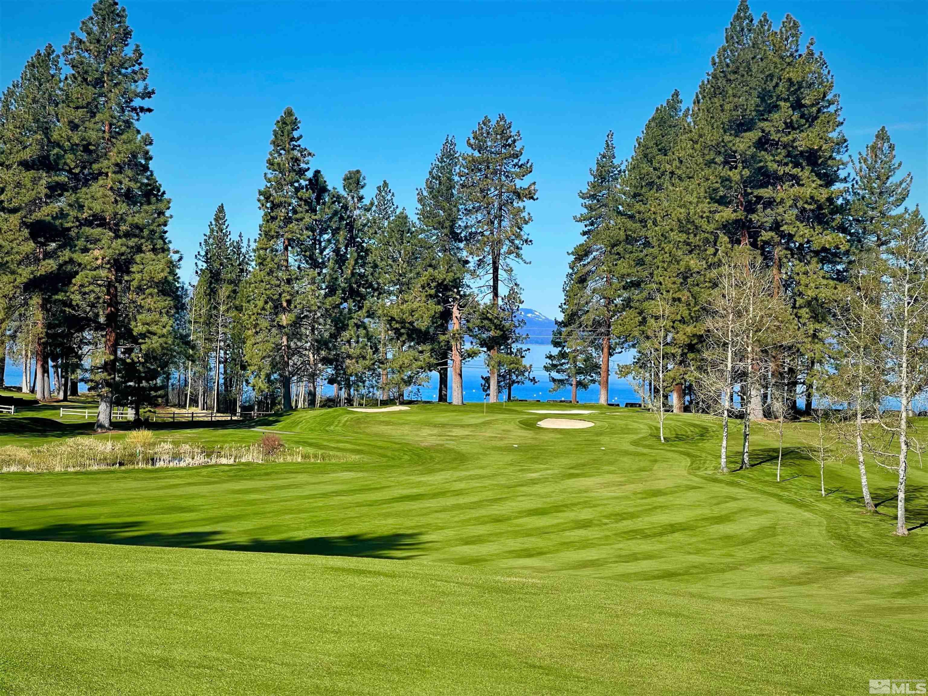 190 Yellow Jacket Road Glenbrook, NV 89413 - Photo 38 of 42 a big yard with lots of trees in the background