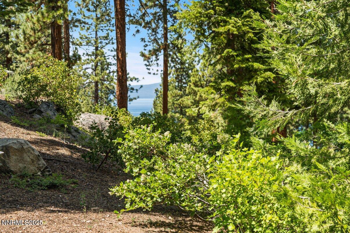 190 Yellow Jacket Road Glenbrook, NV 89413 - Photo 5 of 42