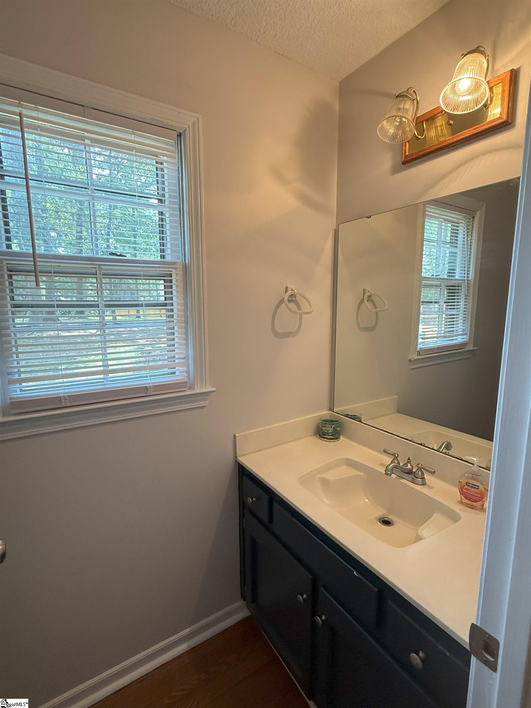111 Firethorne Court Greer, SC 29650 - Photo 15 of 32 Gallery Image 15