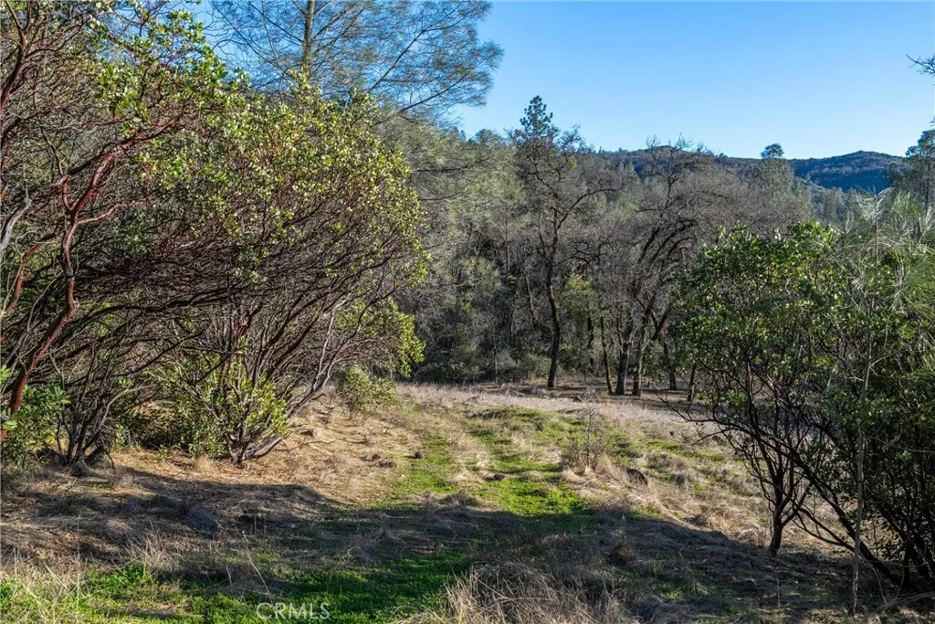 0 Crown Point Road Magalia, CA 95954 - Photo 29 of 39 a view of a yard with a tree
