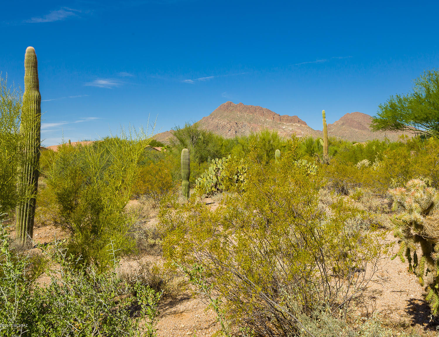 3532 South Desert Lantern Road Tucson, AZ 85735 - Photo 23 of 27 Gallery Image 23