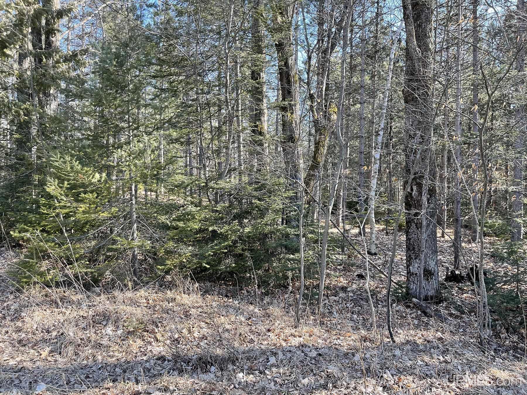 2330 S Little Harbor Road Manistique, MI 49854 - Photo 17 of 55