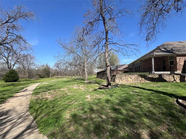 a view of a yard with a tree