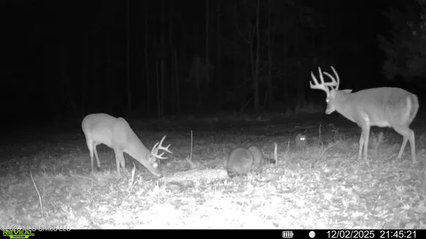 $6,720,000 | 560 Pocahontas Road, Flora, MS 39071