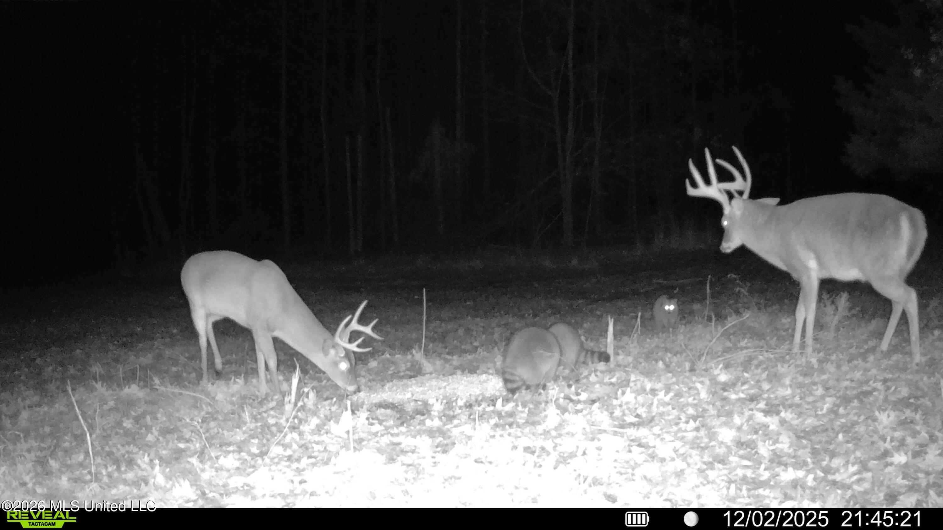 560 Pocahontas Road Flora, MS 39071 - Photo 12 of 53 DD1D5ED8-B287-4DF7-B504-A18547F1D10E