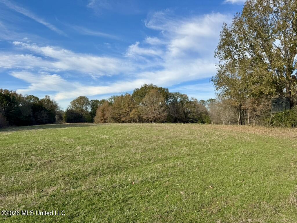 560 Pocahontas Road Flora, MS 39071 - Photo 13 of 53 11B3B940-CF32-4BFE-82F3-F09DB80D6708_1_1