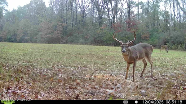 $6,720,000 | 560 Pocahontas Road, Flora, MS 39071