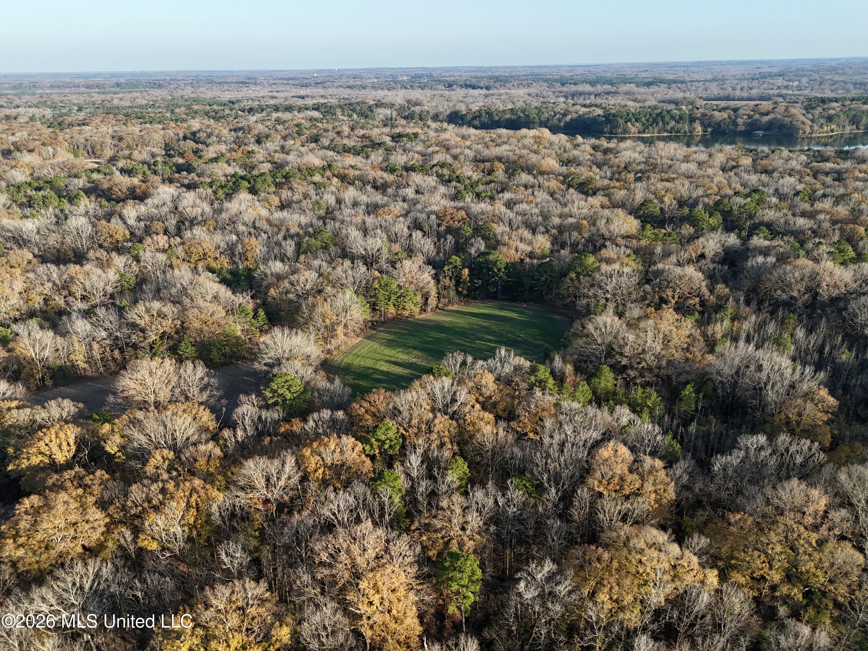 560 Pocahontas Road Flora, MS 39071 - Photo 16 of 53 5FB59C87-A710-45BF-8395-27EF9BB66F42