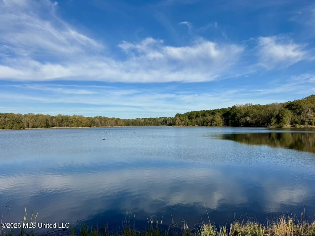 560 Pocahontas Road Flora, MS 39071 - Photo 17 of 53 415AB87C-83BC-4F85-874E-595522BEE78A_1_1