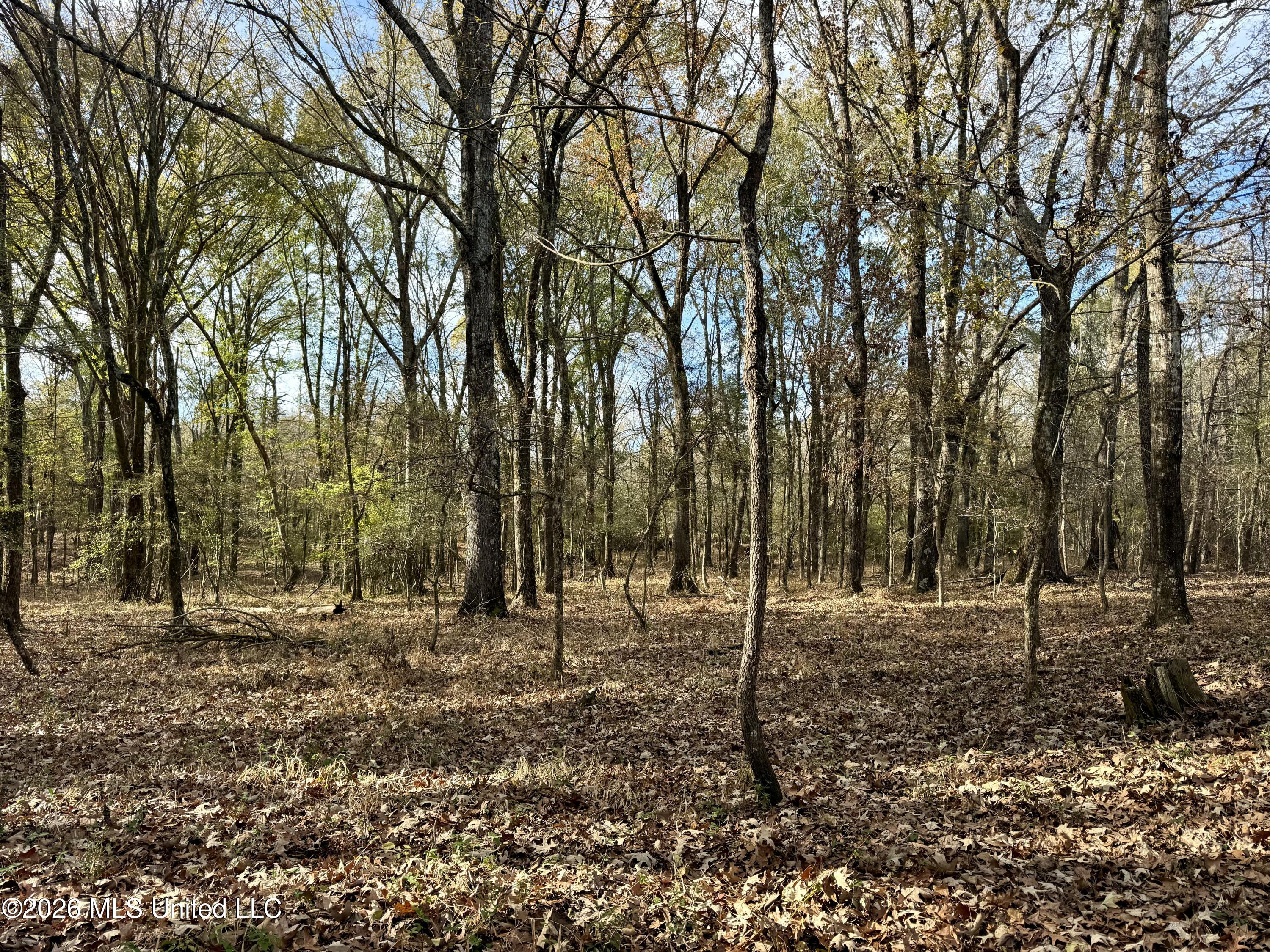 560 Pocahontas Road Flora, MS 39071 - Photo 18 of 53 5051C6FF-C9C8-4104-BB9B-A4839ED29D23