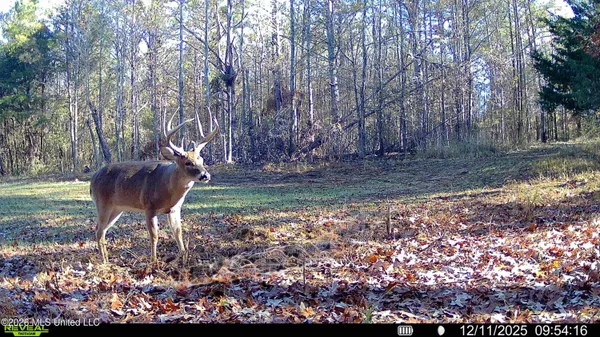 $6,720,000 | 560 Pocahontas Road, Flora, MS 39071