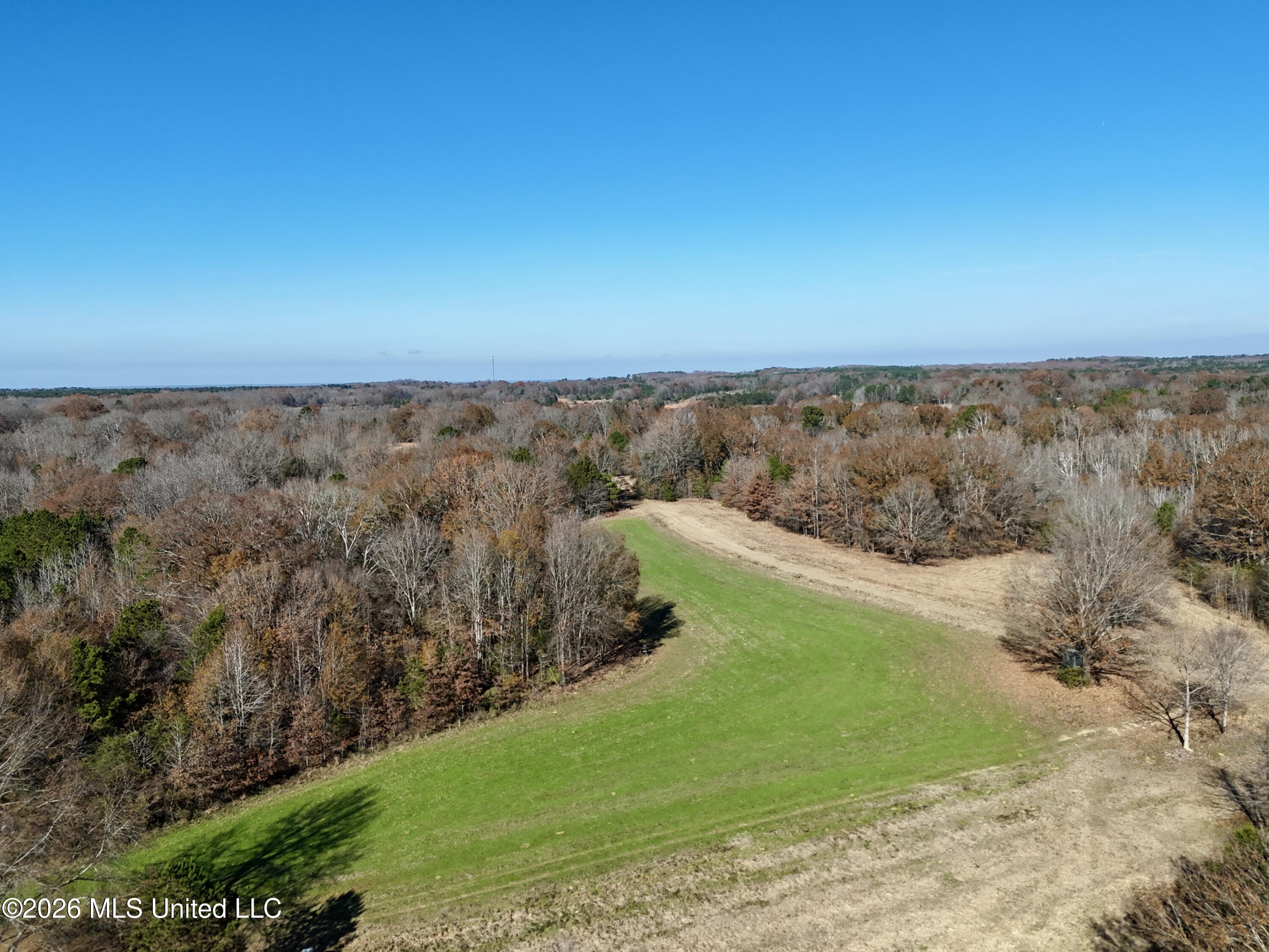 560 Pocahontas Road Flora, MS 39071 - Photo 2 of 53 E996BBD5-B59B-4E28-A29B-DAC47FC0880C