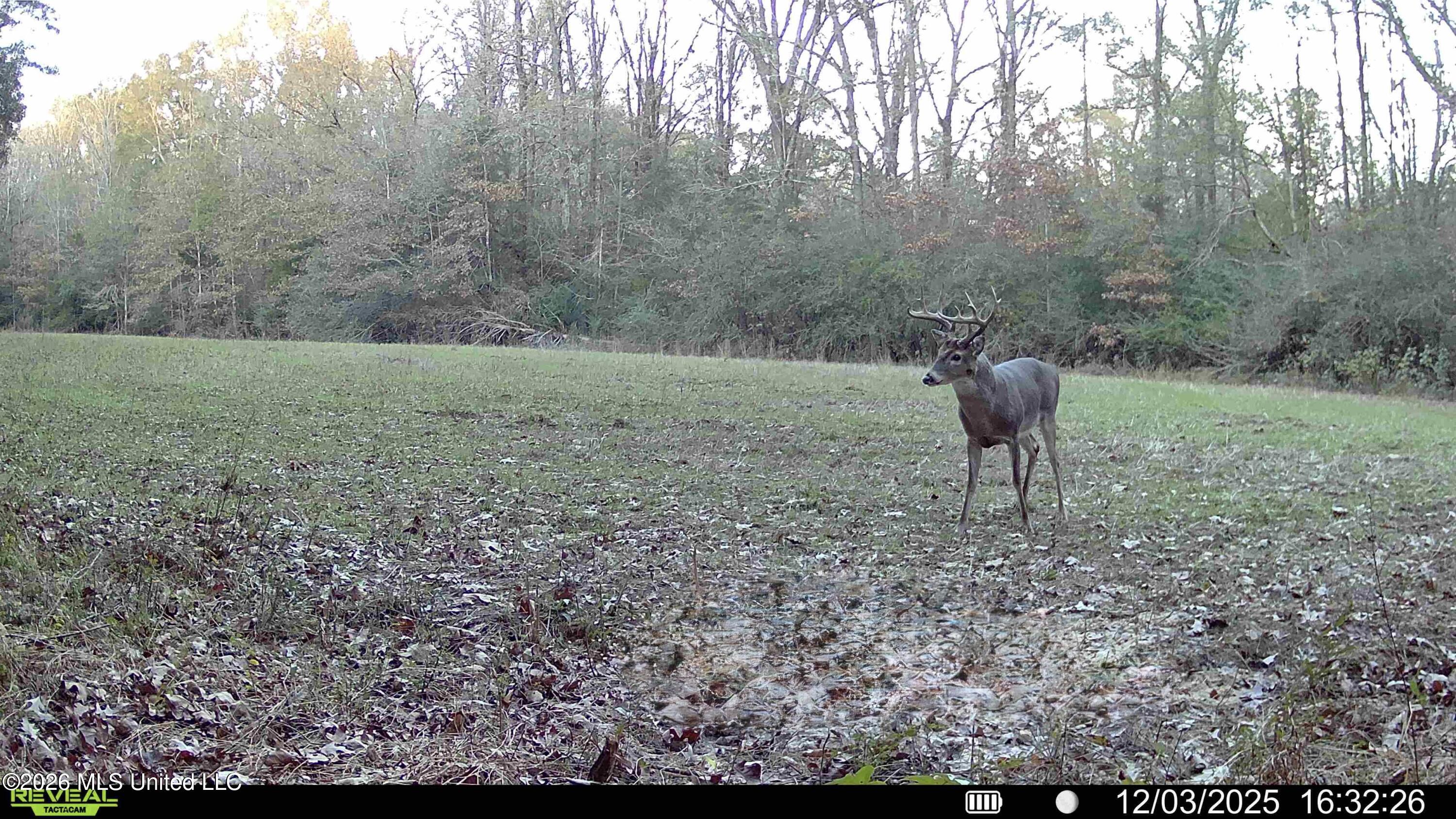 560 Pocahontas Road Flora, MS 39071 - Photo 24 of 53 1831B7D4-9F42-4473-902C-ADB44D7DFE7D