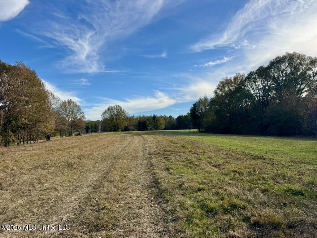 560 Pocahontas Road Flora, MS 39071 - Photo 26 of 53 46D35813-0D41-41AC-964D-79AF4702D3F9_1_1