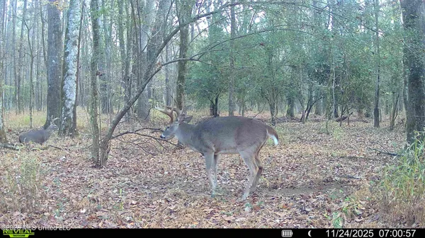 $6,720,000 | 560 Pocahontas Road, Flora, MS 39071