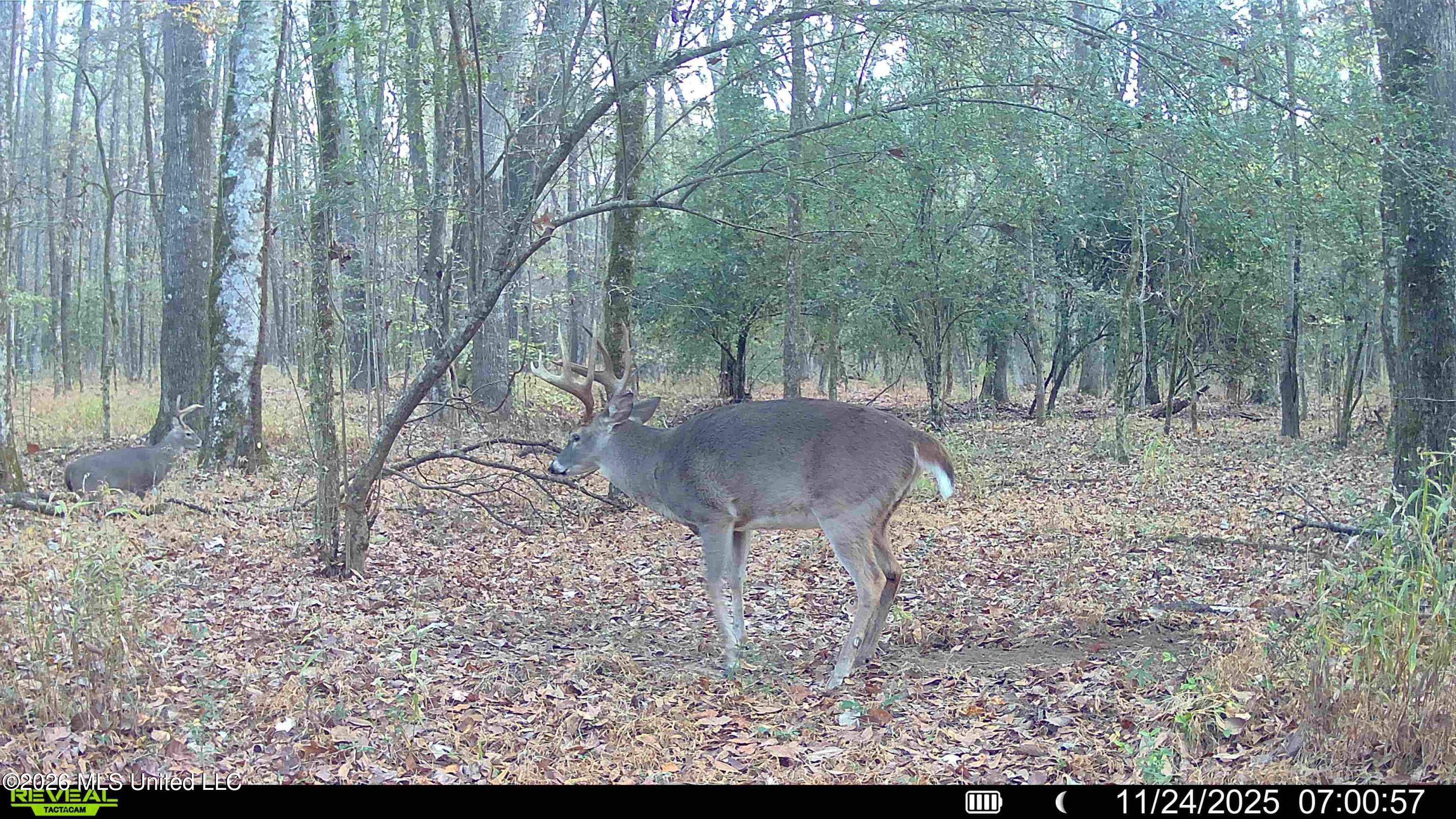 560 Pocahontas Road Flora, MS 39071 - Photo 27 of 53 C8308A4D-AAAD-4A81-8136-053185C8D61F