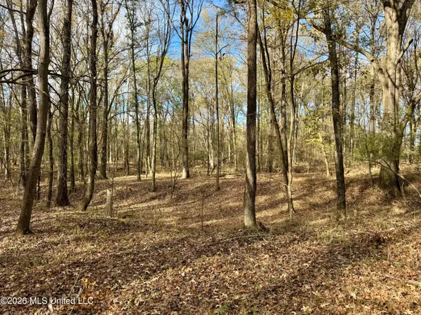 $6,720,000 | 560 Pocahontas Road, Flora, MS 39071